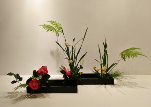 img_20170120_204009237_burst000_cover