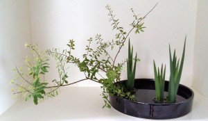 20170817_172507_hdr-01