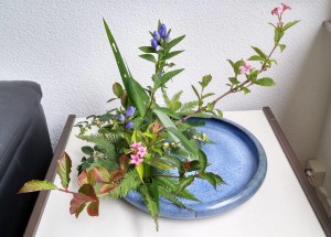 20170817_173019_hdr-01