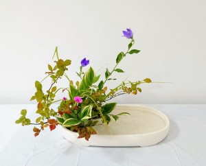 dsc_32552landschap-satoshi-hirota