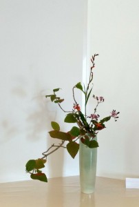 img_20171003_124004555_hdr