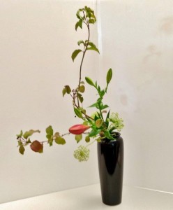 img_20171003_170920332_hdr