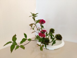 img_20171004_172628411_hdr