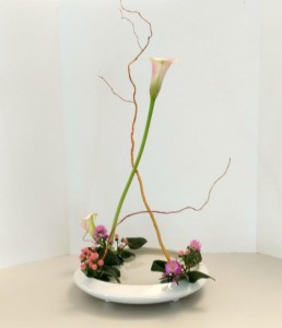 img_20171005_123417353_hdr