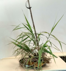 img_20171005_174446413_hdr