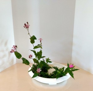 img_20171006_124222539_hdr