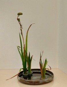 img_20171006_185124505_hdr