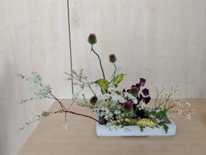 IMG_20180421_132056946