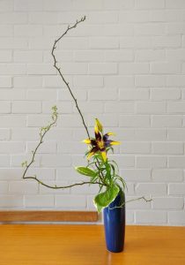 IMG_20180422_115627743