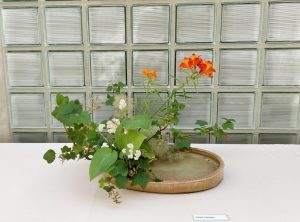 IMG_20180701_115924612