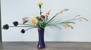 20180817_150257_HDR-01