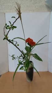 20180818_095122_HDR-01