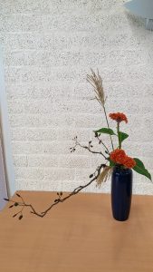 20180818_124308_HDR-01