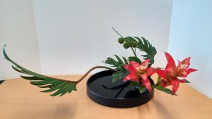 20180818_151439_HDR-01