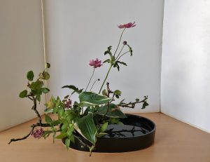 IMG_20180817_122801664