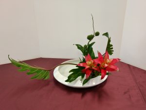 IMG_20180818_151710411