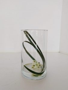 IMG_20181013_150713408