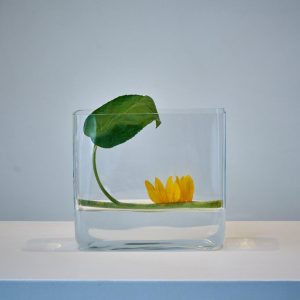 Ohara WOrkshop 13-10-2018-015